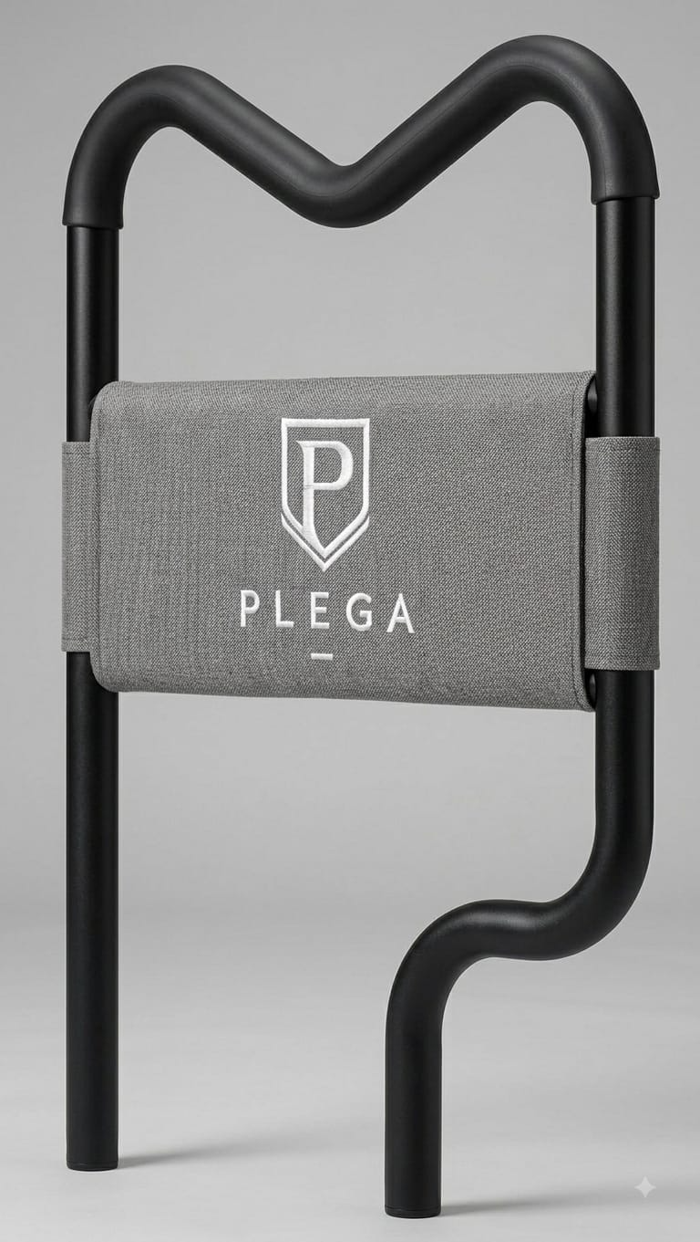 PLEGA Z-Series 2 assist handle for safer transfers